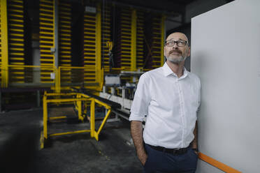 Portrait of a businessman in a factory - KNSF07853