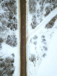 Russland, Gebiet Moskau, Luftaufnahme von kahlen Bäumen, die eine leere Landstraße im Winter umgeben - KNTF04439