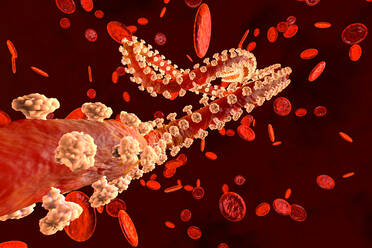 3D gerenderte Illustration eines Ebola-Virus in der Blutbahn, umgeben von Erythrozytenzellen - SPCF00535