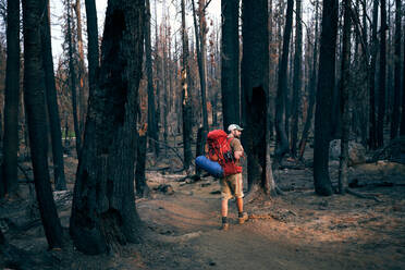 Mann wandert mit Lichtstrahl durch verbrannten Wald - CAVF76114