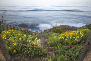 Coastal scene at Sunset Cliffs Natural Park. - CAVF76171