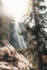 Nevada Fall durch die Bäume im Gegenlicht, das Sonnenreflexe erzeugt - CAVF76198