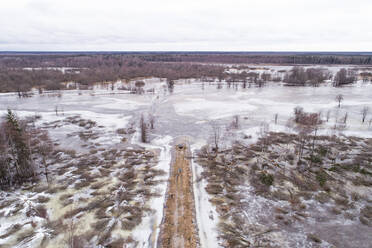 Luftaufnahme von gefrorenem Wasser mit Kiefern, Tipu, Bezirk Viljandi, Estland - AAEF07060