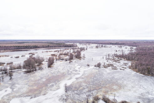 Luftaufnahme von gefrorenem Wasser mit Kiefern, Tipu, Bezirk Viljandi, Estland - AAEF07063