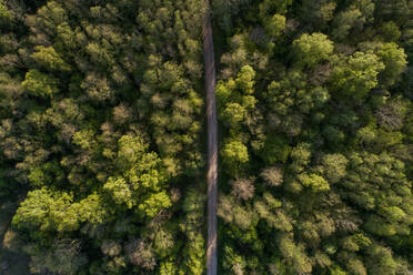 Luftaufnahme einer von Bäumen umgebenen Straße, Saxby, Kreis Lääne, Estland - AAEF07074