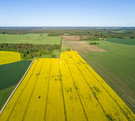 Luftaufnahme einer grünen Wiese in einem ländlichen Gebiet Orguse, Bezirk Rapla, Estland - AAEF07076