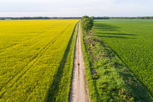 Luftaufnahme eines Mannes, der auf einer Straße geht, die von - AAEF07080