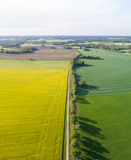 Luftaufnahme einer von grünen Feldern umgebenen Straße, Lellapere, Kreis Rapla, Estland - AAEF07082