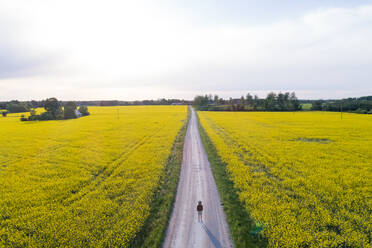 Luftaufnahme eines Mannes, der eine von grünen Feldern umgebene Straße beobachtet Laeste, Kreis Rapla, Estland - AAEF07085