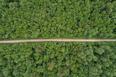 Aerial view of a road surrounded by trees, Suuremõisa, Lääne County, Estonia - AAEF07097