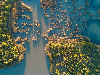Luftaufnahme der Vegetation, Rowville, Victoria, Australien - AAEF07147