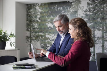 Geschäftsmann und Geschäftsfrau arbeiten zusammen an einem Laptop im Büro - RBF07094