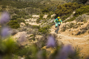 Ein Mann fährt mit dem Mountainbike einen Pfad hinauf im Fort Ord National Monument Park, Monterey, Kalifornien, USA - MSUF00201