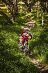 Woman riding mountainbike on forest track, Fort Ord National Monument Park, Monterey, California, USA - MSUF00206