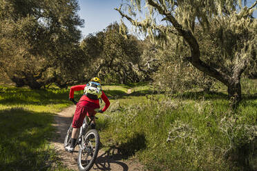 Woman riding mountainbike on forest track, Fort Ord National Monument Park, Monterey, California, USA - MSUF00208