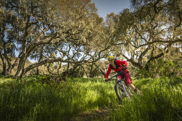 Frau fährt Mountainbike auf Waldweg, Fort Ord National Monument Park, Monterey, Kalifornien, USA - MSUF00209