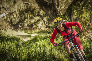 Woman riding mountainbike on forest track, Fort Ord National Monument Park, Monterey, California, USA - MSUF00212