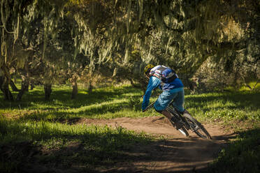 Mann fährt Mountainbike auf Waldweg, Fort Ord National Monument Park, Monterey, Kalifornien, USA - MSUF00221