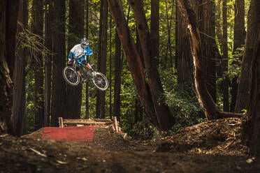 Man performing stunt with mountain bike in forest, Santa Cruz, California, USA - MSUF00222