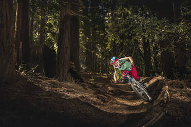 Woman riding mountain bike through forest, Santa Cruz, California, USA - MSUF00223