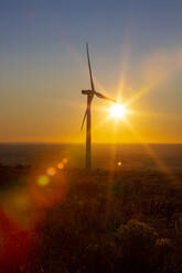 Windkraftanlagen auf dem Feld bei Sonnenuntergang - CAVF76336