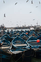 Vertäute Fischerboote im Hafen, Essaouira, Marokko - AFVF05587