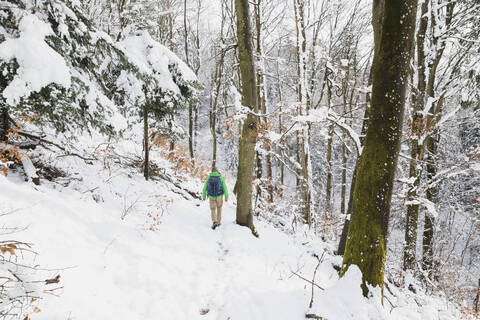 Deutschland, Nordrhein-Westfalen, Einsamer Rucksacktourist im verschneiten Wald im Hohen Venn - Naturpark Eifel, lizenzfreies Stockfoto