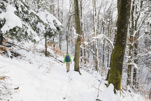 Deutschland, Nordrhein-Westfalen, Einsamer Rucksacktourist im verschneiten Wald im Hohen Venn - Naturpark Eifel - GWF06509