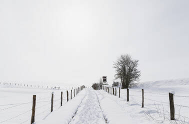 Germany, North Rhine-Westphalia, Fences along snow-covered road in High Fens - Eifel Nature Park - GWF06512