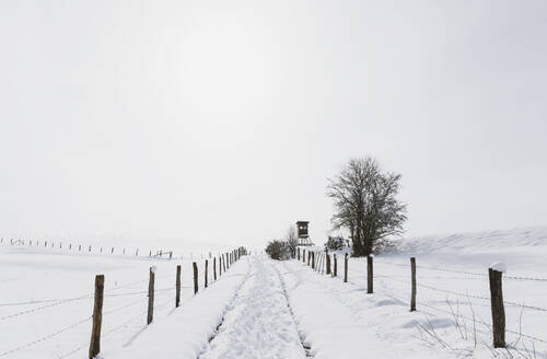 Deutschland, Nordrhein-Westfalen, Zäune entlang schneebedeckter Straße im Hohen Venn - Naturpark Eifel - GWF06512