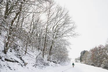 Germany, North Rhine-Westphalia, Lone backpacker hiking in snow-covered High Fens - Eifel Nature Park at sunset - GWF06514