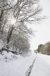 Germany, North Rhine-Westphalia, Lone backpacker hiking in snow-covered High Fens - Eifel Nature Park at sunset - GWF06515