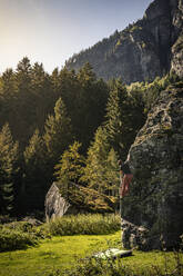 Mann klettert auf einer Alm im Zillertal auf einen Felsen; Ginzling, Tirol, Österreich - MSUF00262