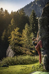 Man climbing up rock on mountain pasture in Zillertal; Ginzling, Tirol, Austria - MSUF00263