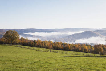 Deutschland, Nordrhein-Westfalen, Klarer Himmel über herbstlichem Wald und nebligen Hügeln im Nationalpark Eifel - GWF06520