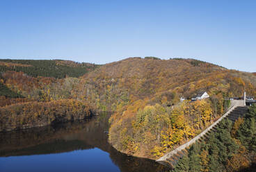 Germany, North Rhine-Westphalia, Obersee lake surrounded by forested hills in autumn - GWF06529