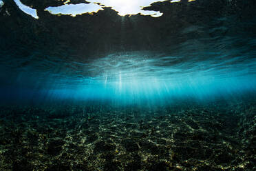 Underwater shot of coral reef with sun rays - CAVF76427
