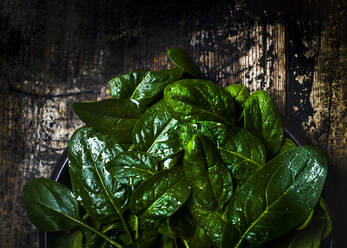 Dark and moody image of fresh green organic Spinach room for text - CAVF76504