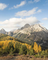 Pocaterra Ridge im Herbst in Kananaskis Alberta, Kanada - CAVF76522