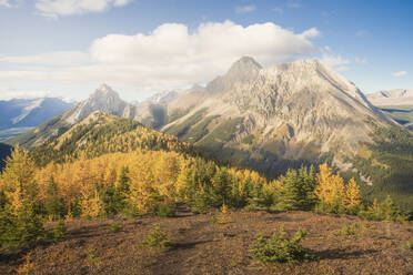 Pocaterra Ridge im Herbst in Kananaskis Alberta, Kanada - CAVF76525