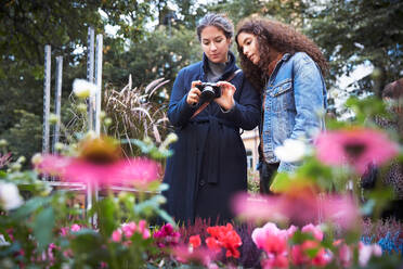 Lesbisches Paar, das im Park stehend Blumen mit der Kamera fotografiert - MASF17152