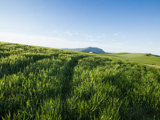 Landwirtschaftliche Landschaft in Ardales, Malaga, Spanien - CAVF76629