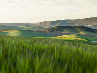 Landscape in Ardales, Malaga, Spain - CAVF76636