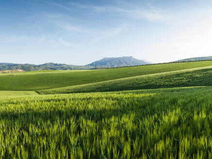 Landschaft in Ardales, Malaga, Spanien - CAVF76637