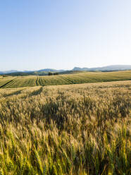 Landschaft in Cañete La Real, Malaga, Spanien - CAVF76645