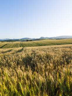 Landschaft in Cañete La Real, Malaga, Spanien - CAVF76645