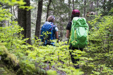 Two female hikers on a trail in the Mt. Baker Wilderness - CAVF76721