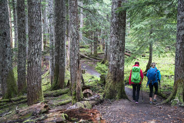 Two female hikers on a trail in the Mt. Baker Wilderness - CAVF76729