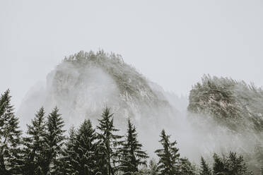 Winterlandschaft im verschneiten Wald - CAVF76796