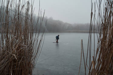 Gefrorenes Schilf in der Nähe des Wassers im Winter, während eines mit Frost bedeckten Nebels bei bewölktem Wetter - CAVF76850